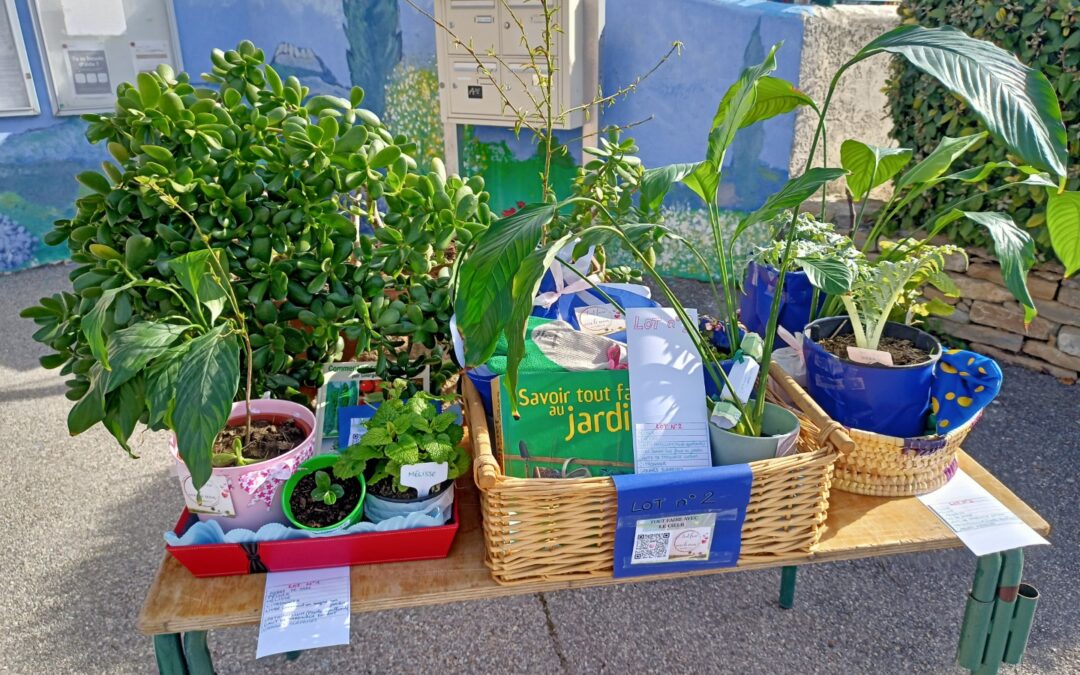 Bourse aux Graines et aux Plantes – 17 Mars 2024