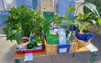 Bourse aux Graines et aux Plantes – 17 Mars 2024