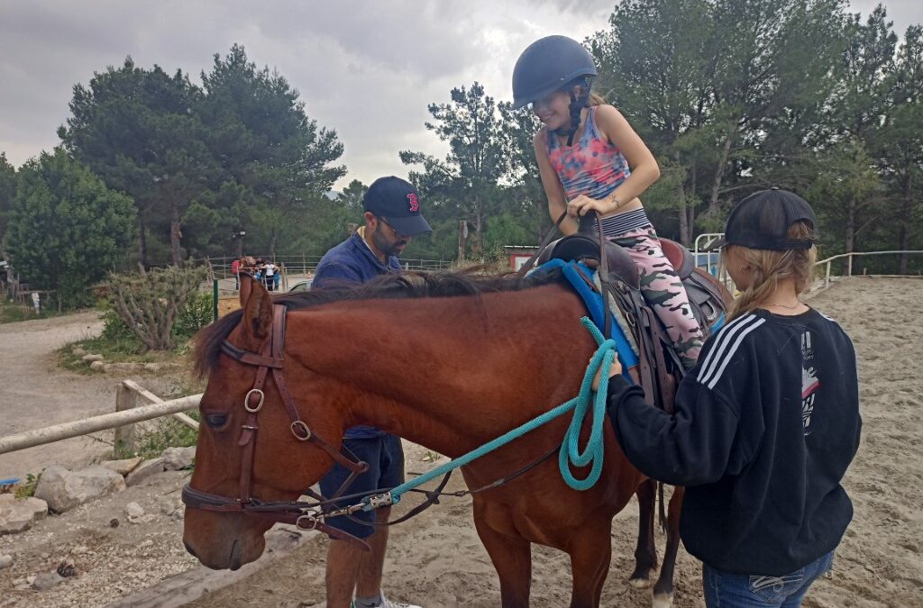 Rencontre avec les chevaux – Juin 2024