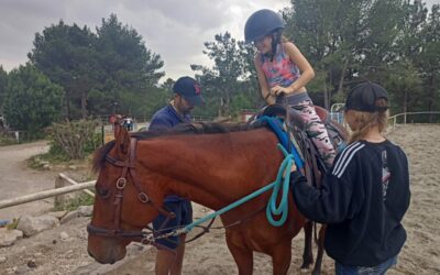 Rencontre avec les chevaux – Juin 2024