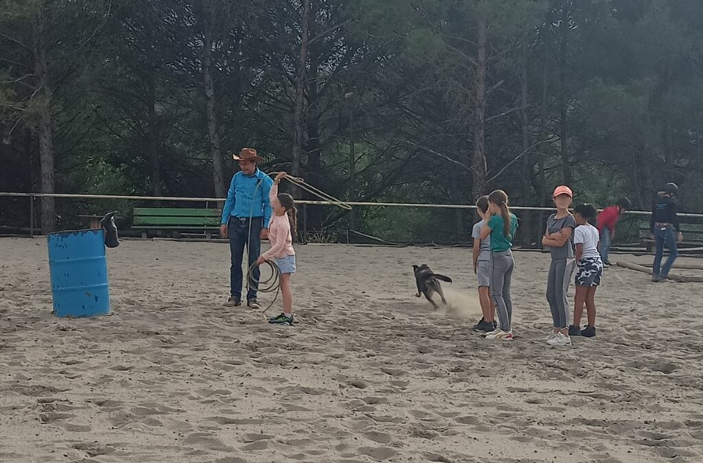 Initiation au lasso – Juin 2024