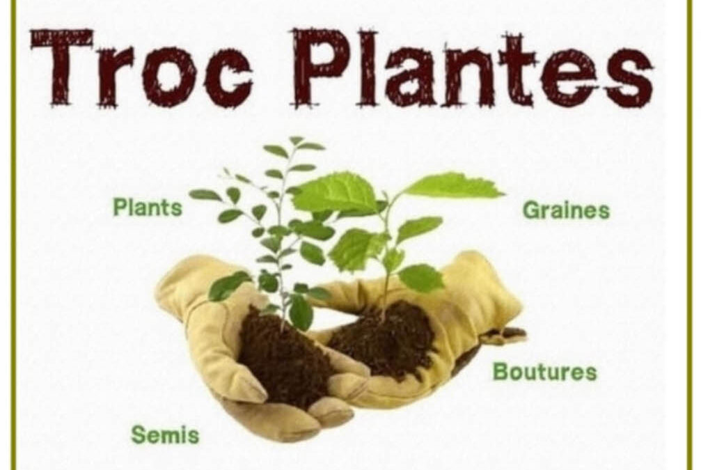 troc Plantes – Dimanche 23 mars 10h/13h – 2025